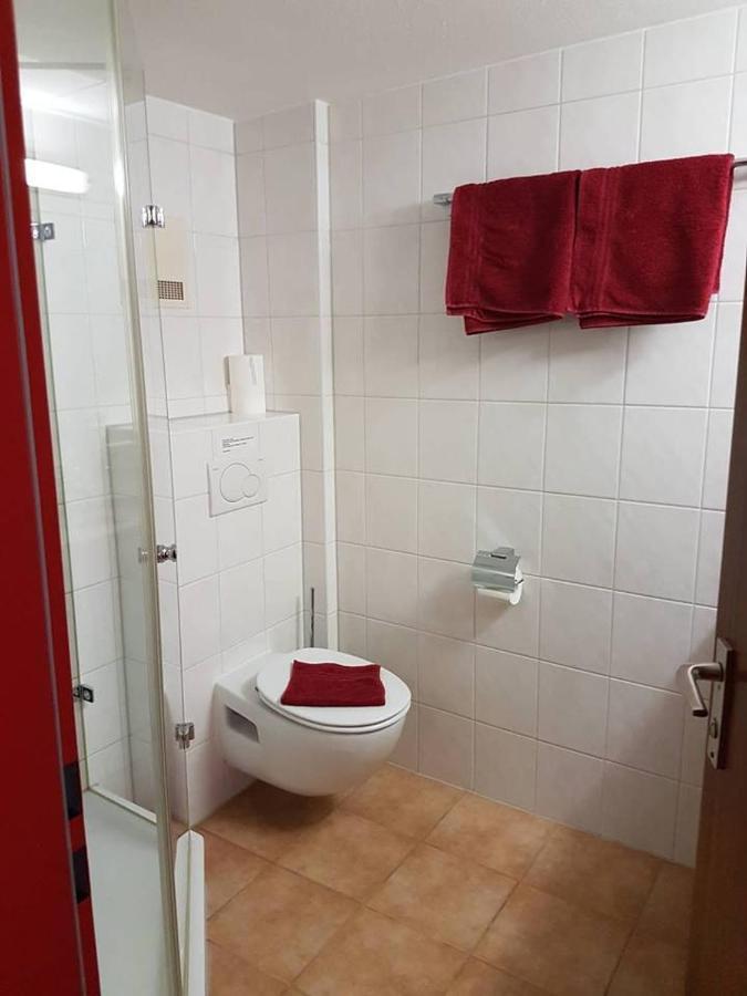 Hotel Traube Зигмаринген Экстерьер фото