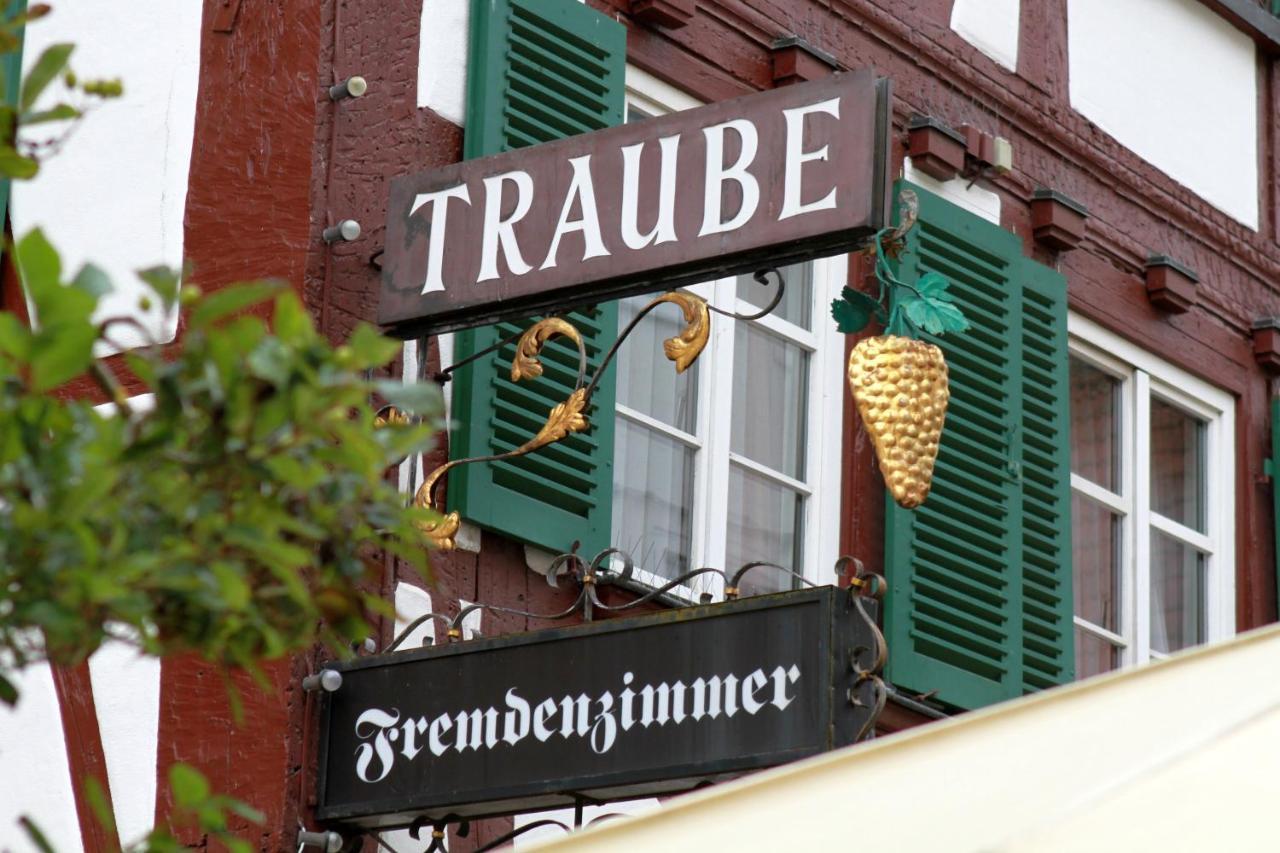 Hotel Traube Зигмаринген Экстерьер фото